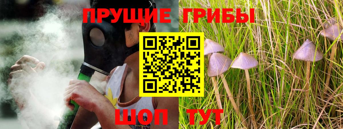 Галлюциногенные грибы Cubensis  Вход с VPN  Усть-Илимск 